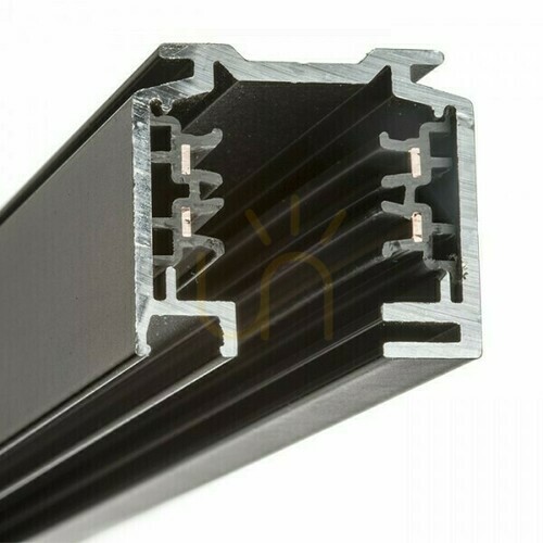 Prüfen Eutrac Lichtschiene 2m 3 Phase Schwarz 230 V