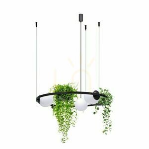 Pendelleuchte Zuma Line funkcją z kwietnika PLANT 3 - small 1