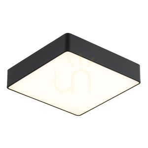 Plafond Argon Ontario schwarz 2xE27 654 small 0
