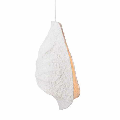 Prüfen Pendelleuchte Max Light Concha P0540 Weiß 30 cm LED 8W