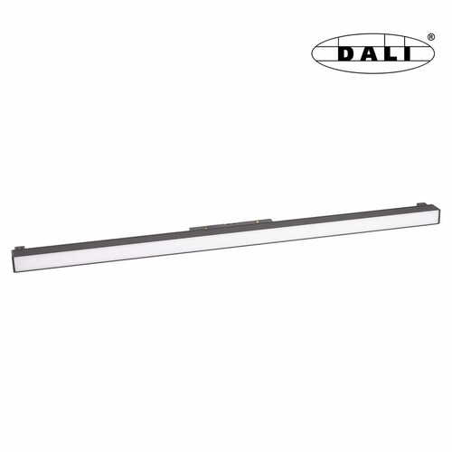 Prüfen Schienenlampe Max Light MAX M0002D magnetisch DALI schwarz 60 cm 17W 3000K