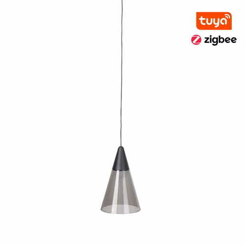 Prüfen Pendelleuchte Max Light MAX M0015Z Zigbee schwarz LED 6W 12 cm