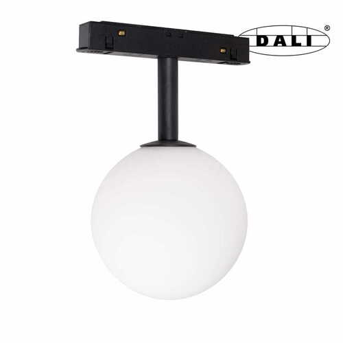 Prüfen Magnetische Stromschienenlampe Max Light MAX M0016D schwarz LED 3000K DALI 5,4W