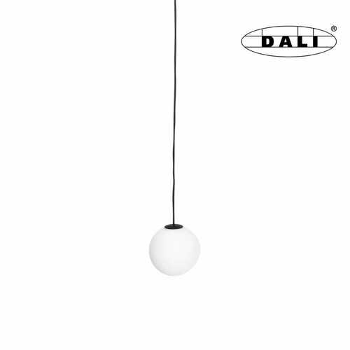 Prüfen Pendelleuchte Max Light MAX Magnetic M0017D schwarz LED 5,4W 3000K DALI