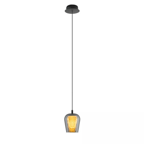 Prüfen Keso Pendelleuchte 1xLED schwarz PL0141-1
