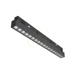 POINTS Schienenleuchte TR031-4-18WTW-DD-B Maytoni small 1
