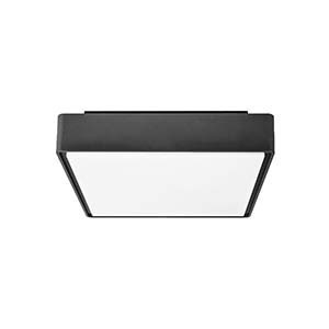 Prüfen Plafond IP65 Plug400 Emergency 20W 3000/4000K Anthrazit