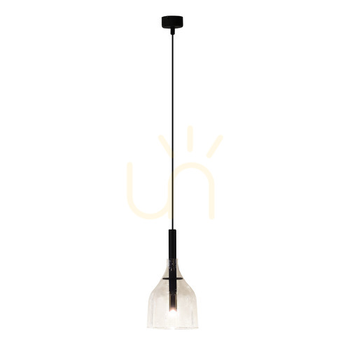 Prüfen Pendelleuchte Antigo Botor schwarz transparentes Glas G9 15 cm 5095