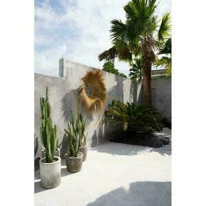 Spiegel BAZAR BIZAR Natur Gras Beige 90 cm Mirrors 4 Spiegel BAZAR BIZAR Natur Gras Beige 90 cm Mirrors small 4