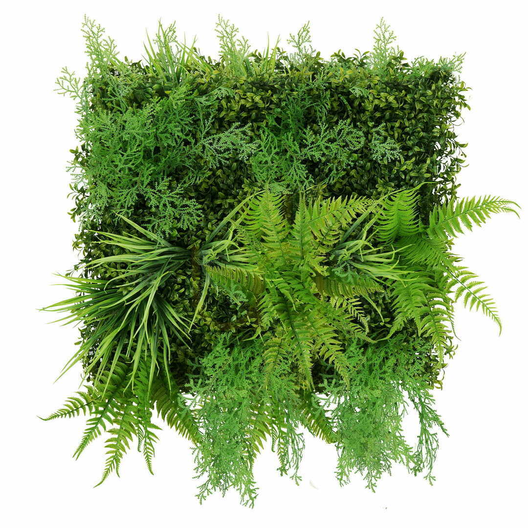 Prüfen Sequoia Pflanzenwand 50x50cm Sequoia Pflanzenwand 50x50cm