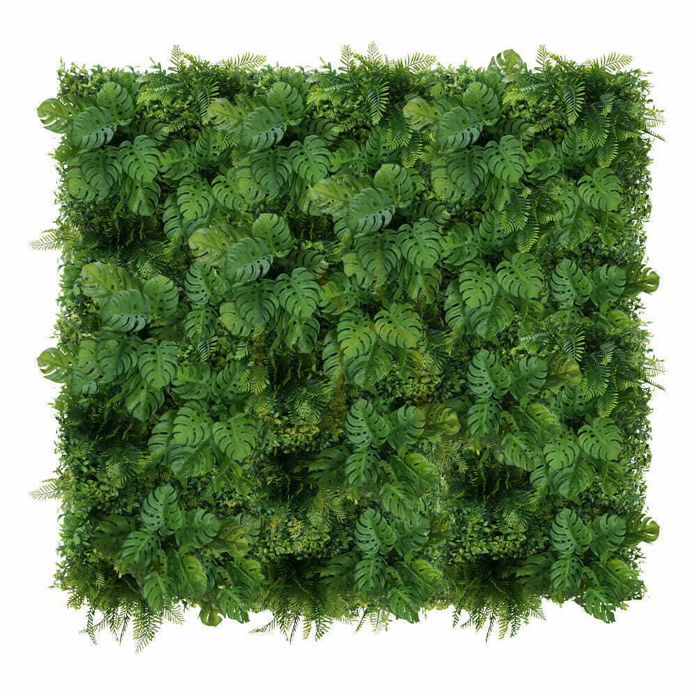 Aussicht Grüne Monstera Wand 50x50cm Grüne Monstera Wand 50x50cm