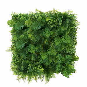 Grüne Monstera Wand 50x50cm 0 Grüne Monstera Wand 50x50cm small 0
