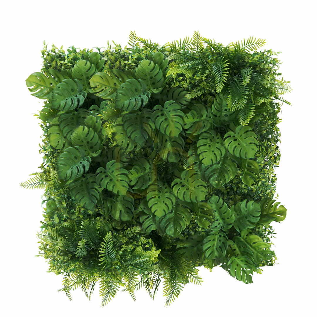 Prüfen Grüne Monstera Wand 50x50cm Grüne Monstera Wand 50x50cm