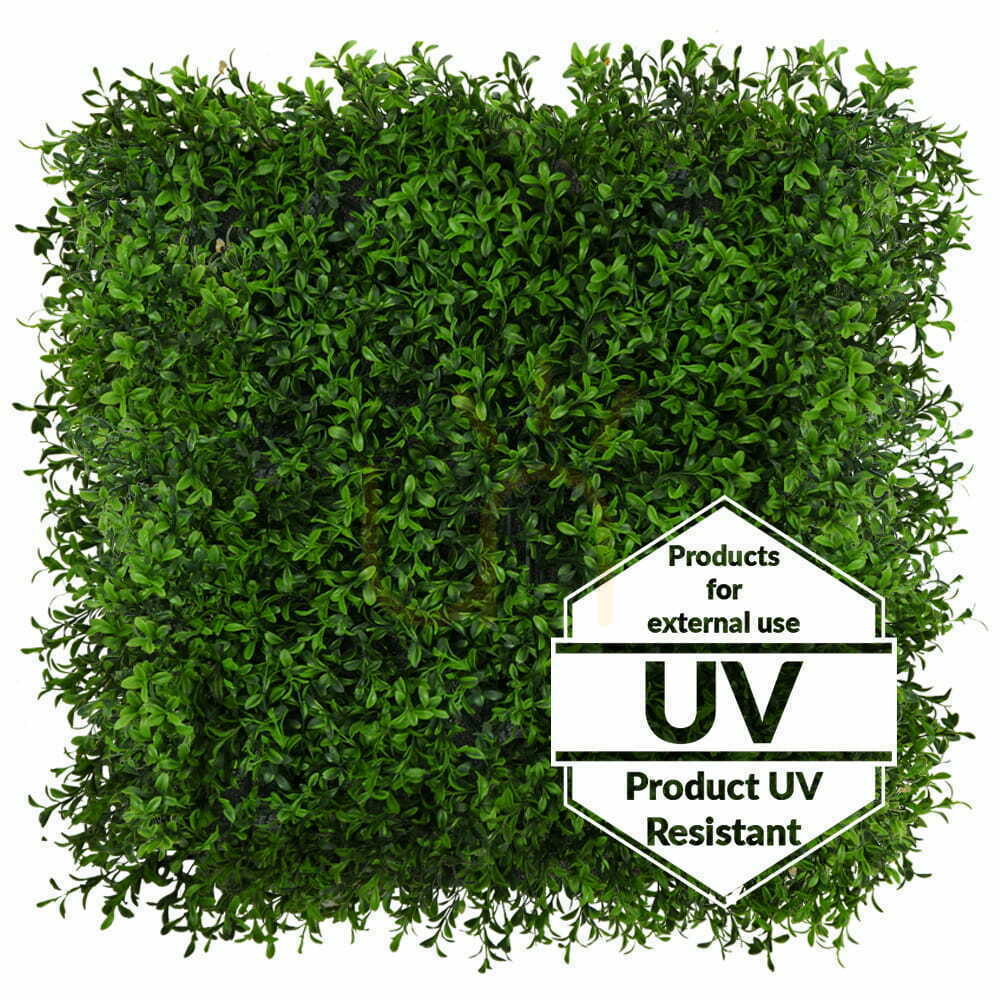 Aussicht Künstlicher grüner Buxus UV-Matte 50x50cm Künstlicher grüner Buxus UV-Matte 50x50cm