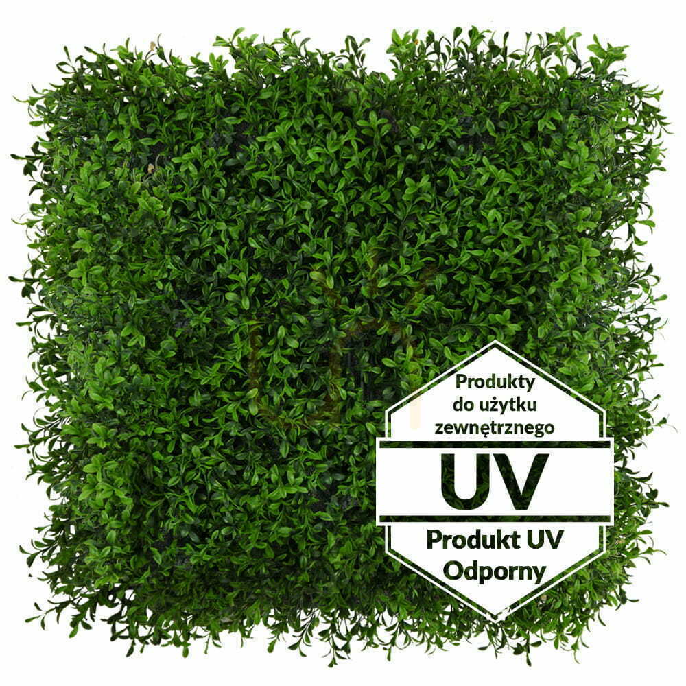 Prüfen Künstlicher grüner Buxus UV-Matte 50x50cm Künstlicher grüner Buxus UV-Matte 50x50cm
