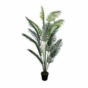 Dekorative Pflanze Palm Lutescens 200 cm 0 Dekorative Pflanze Palm Lutescens 200 cm small 0