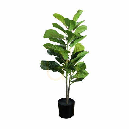 Prüfen Dekorative Pflanze Ficus 90cm