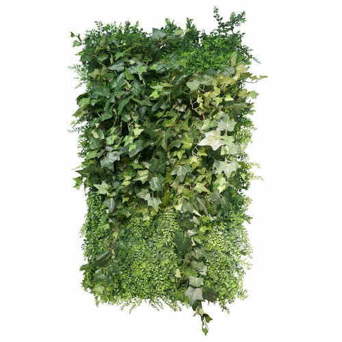 Prüfen Grüner Raum Vertikaler Garten
