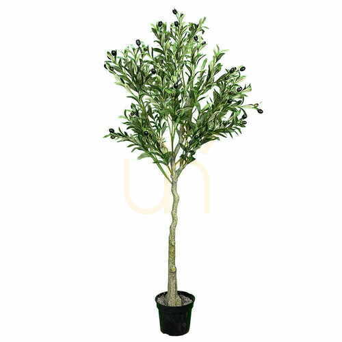 Prüfen Künstlicher Olivenbaum Green Designers Oliwka 150 cm GD4324