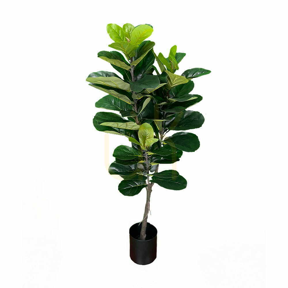 Prüfen Künstliche Ficus Pflanze 150cm Künstliche Ficus Pflanze 150cm