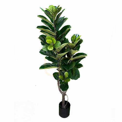 Prüfen Künstliche Ficus Pflanze 180cm