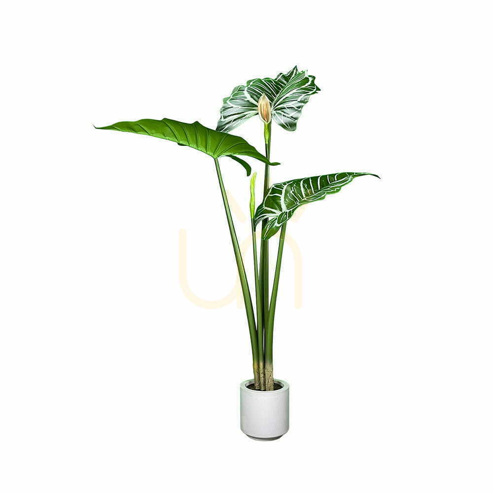 Prüfen Künstliche Pflanze Aloasia 140cm Künstliche Pflanze Aloasia 140cm