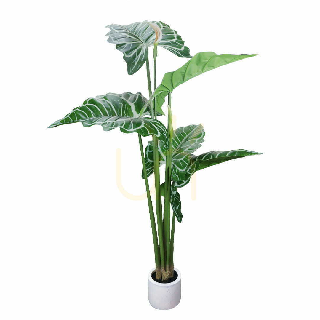 Prüfen Künstliche Alokasie Green Designers 170 cm GD4043 Künstliche Alokasie Green Designers 170 cm GD4043