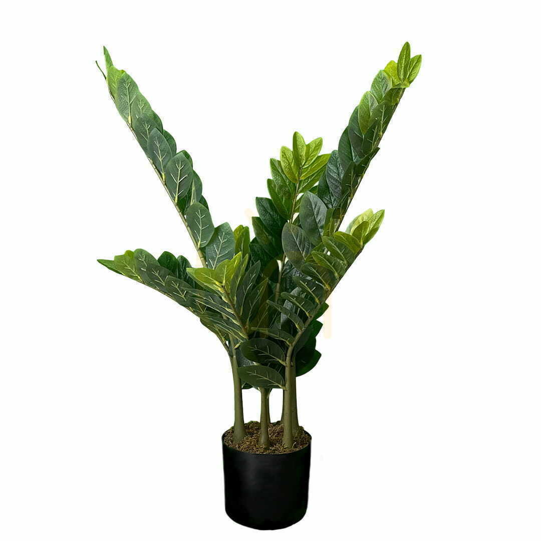 Prüfen Künstliche Zamioculcas Pflanze 90cm Künstliche Zamioculcas Pflanze 90cm