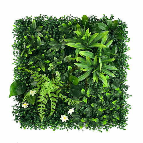 Prüfen Grüne Wandorchidee 50x50cm