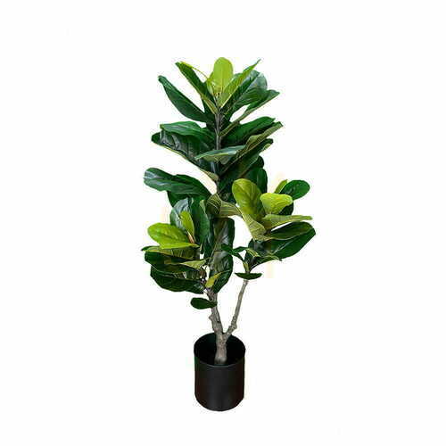 Prüfen Künstliche Ficus Pflanze 150cm
