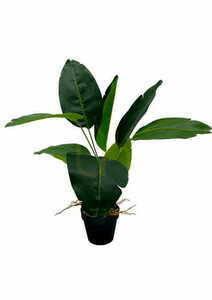 Künstliche Difenbachia Pflanze 55 cm small 3