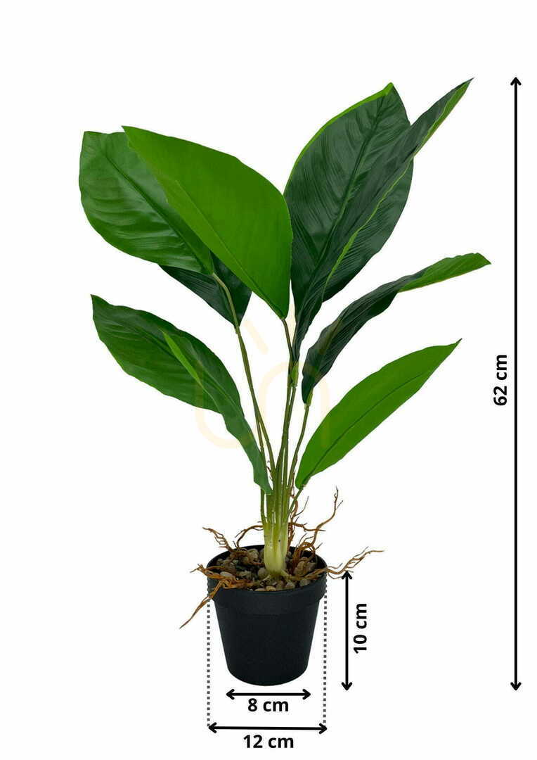 Aussicht Künstliche Aspidistra-Pflanze 62 cm Künstliche Aspidistra-Pflanze 62 cm