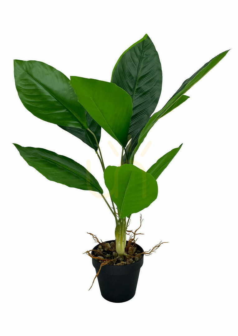 Vorschau Künstliche Aspidistra-Pflanze 62 cm Künstliche Aspidistra-Pflanze 62 cm