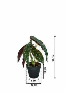 Künstliche Begonie Korallenpflanze 36 cm 1 Künstliche Begonie Korallenpflanze 36 cm small 1