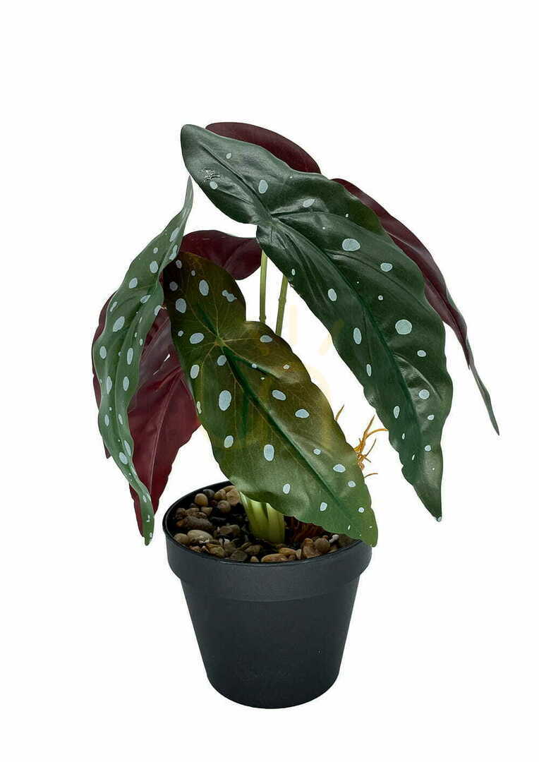 Vorschau Künstliche Begonie Korallenpflanze 36 cm Künstliche Begonie Korallenpflanze 36 cm