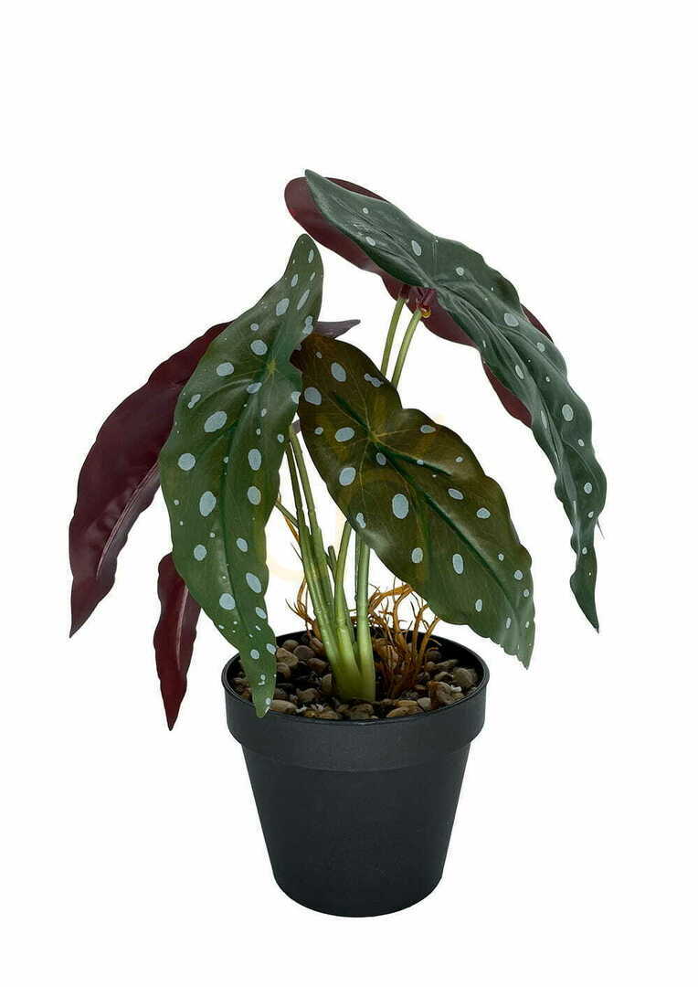 Prüfen Künstliche Begonie Korallenpflanze 36 cm Künstliche Begonie Korallenpflanze 36 cm