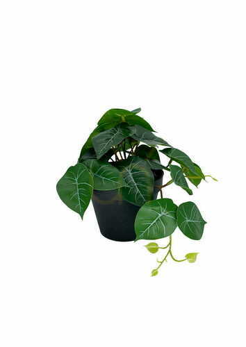 Prüfen Künstliche Philodendron-Pflanze 20 cm
