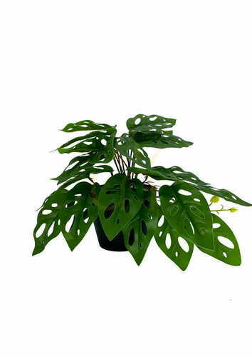 Prüfen Künstliche Monstera Affenpflanze 25 cm