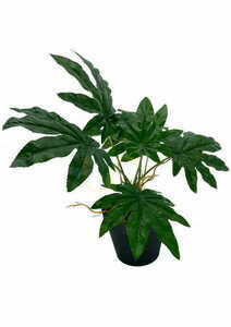 Künstliche Aralia Pflanze 45 cm 3 Künstliche Aralia Pflanze 45 cm small 3