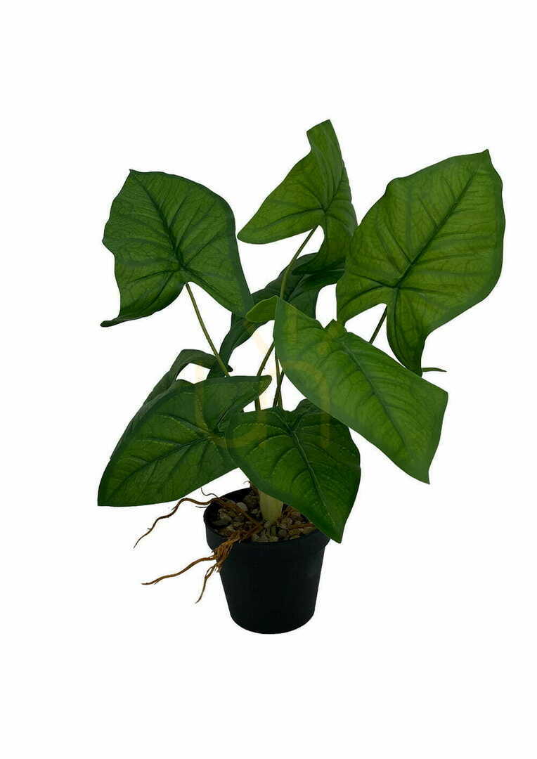 Vorschau Künstliche Syngonium-Pflanze 56 cm Künstliche Syngonium-Pflanze 56 cm