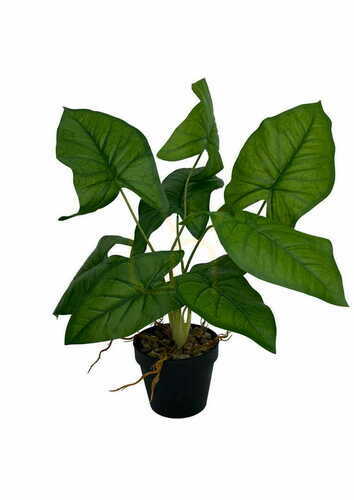 Prüfen Künstliche Syngonium-Pflanze 56 cm