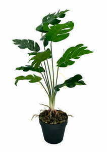 Künstliche Monstera-Hohlpflanze 52 cm 3 Künstliche Monstera-Hohlpflanze 52 cm small 3