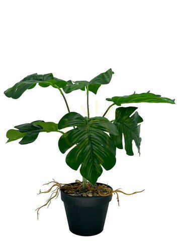 Prüfen Künstliche Monstera-Hohlpflanze 43 cm