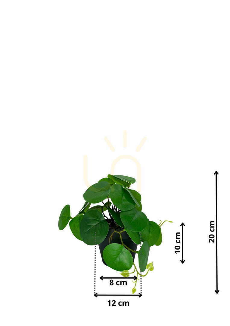 Aussicht Künstliche Pilea Pflanze 20 cm Künstliche Pilea Pflanze 20 cm