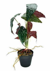 Künstliche Begonie Rosie Pflanze 47 cm 2 Künstliche Begonie Rosie Pflanze 47 cm small 2