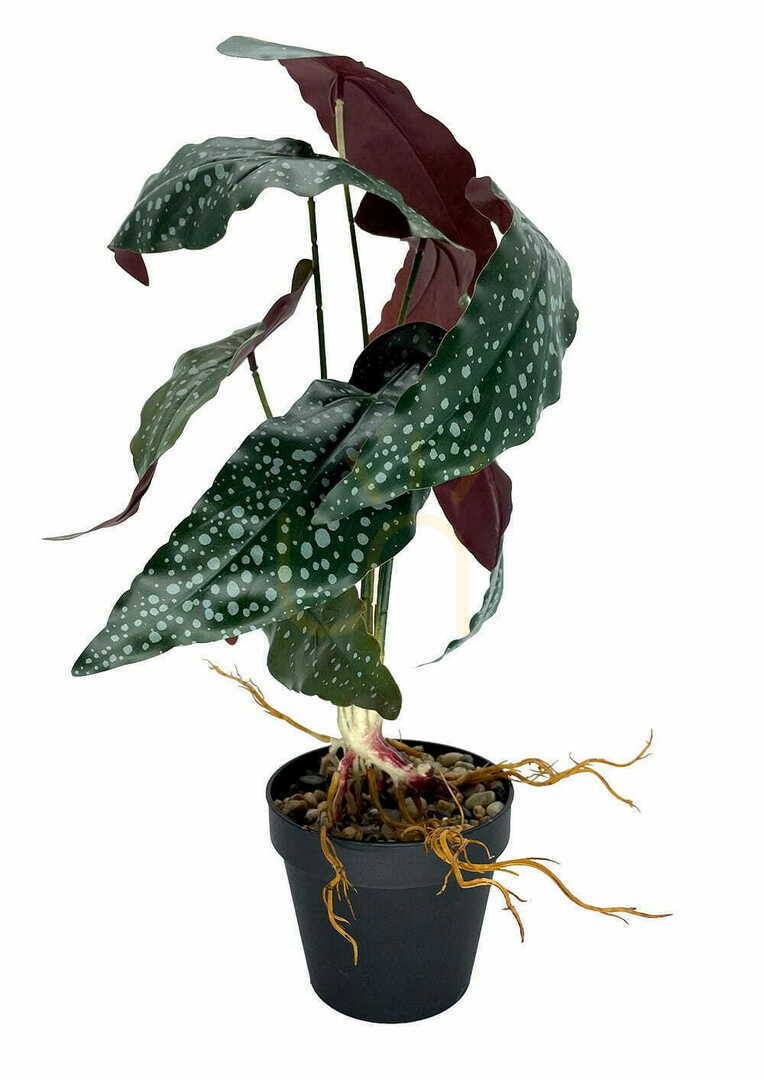 Anzeige Künstliche Begonie Rosie Pflanze 47 cm Künstliche Begonie Rosie Pflanze 47 cm
