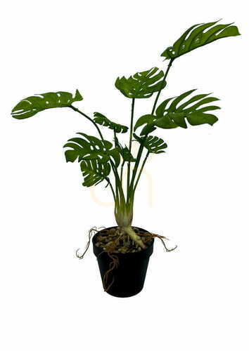 Prüfen Künstliche Monstera Pflanze 53 cm