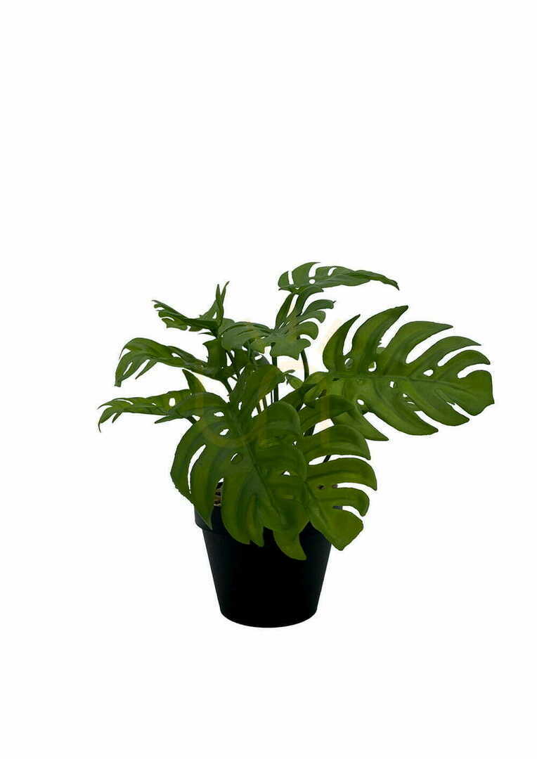Vorschau Künstliche Monstera Pflanze 20 cm Künstliche Monstera Pflanze 20 cm