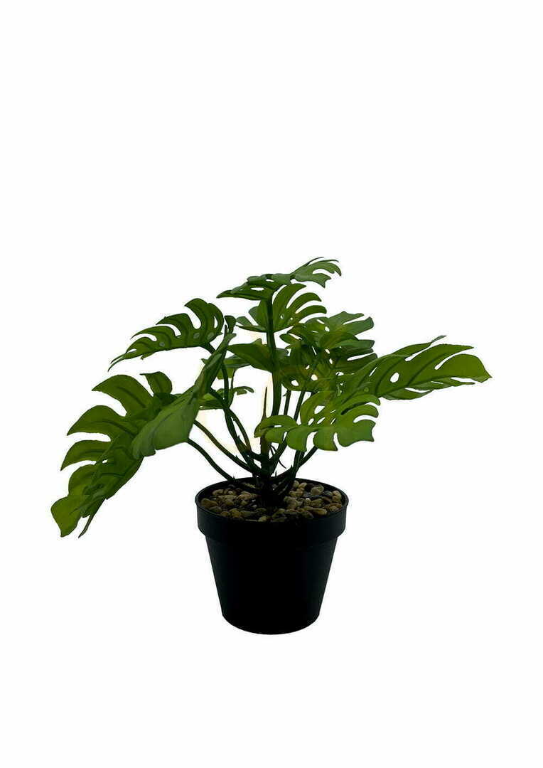 Zeige Künstliche Monstera Pflanze 20 cm Künstliche Monstera Pflanze 20 cm