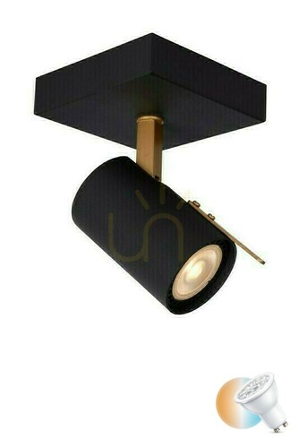 Prüfen Lucide GRONY Wand- und Deckenstrahler Schwarz mit Goldakzent LED GU10 5 W 10 cm 17998/05/30